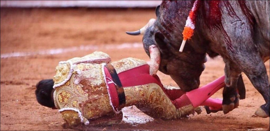 Le taureau qui doit être tué contre-attaque: Plaie rectale de 30 cm