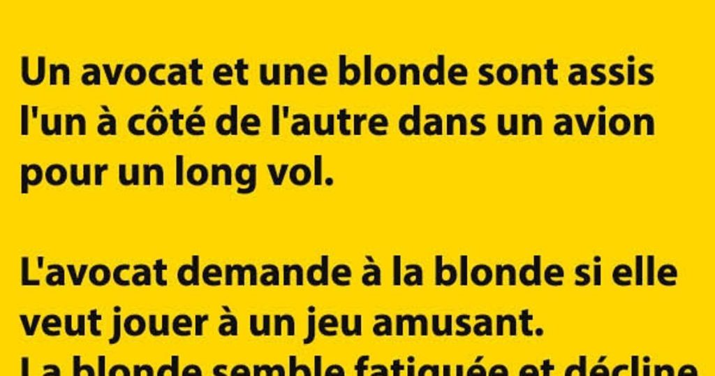 Un avocat et une blonde sont assis l’un à côté de l’autre dans un avion pour un long vol… à mourir de rire :D