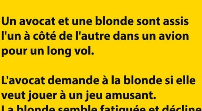 Un avocat et une blonde sont assis l’un à côté de l’autre dans un avion pour un long vol… à mourir de rire :D