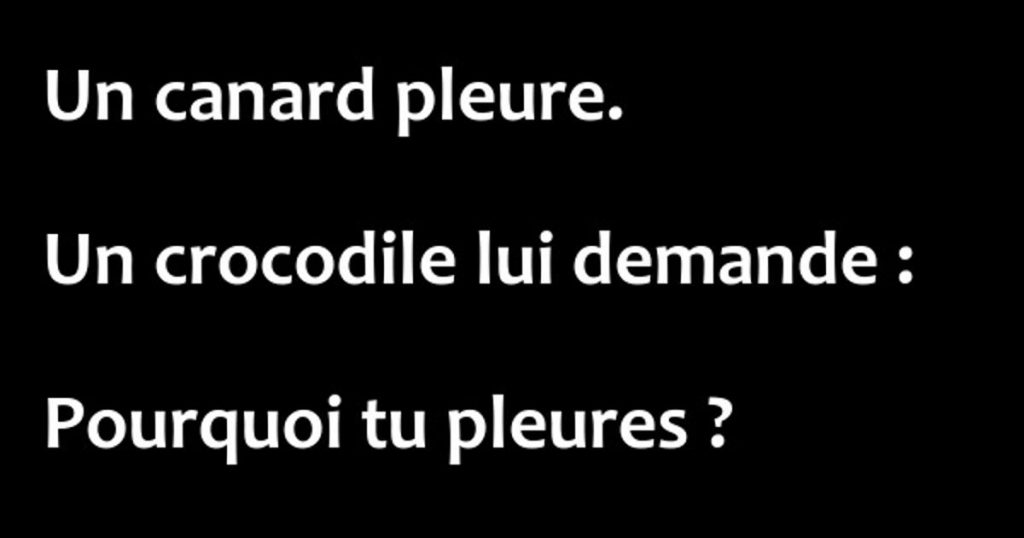 Un canard pleure. Un crocodile lui demande…