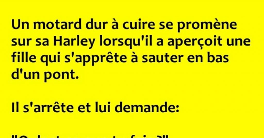 Un motard dur à cuire se promène sur sa Harley …