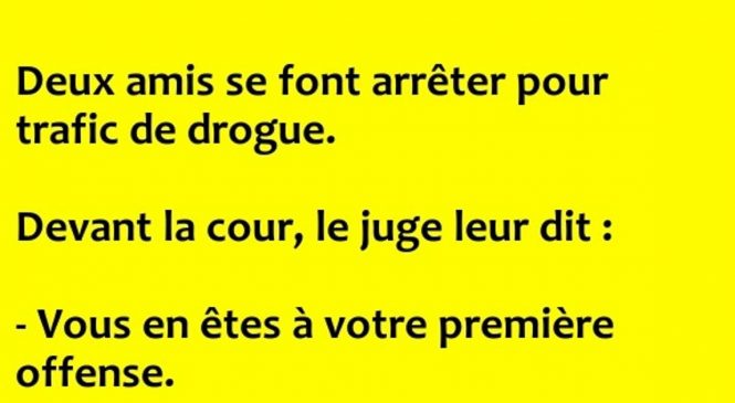 Deux amis se font arrêter pour trafic de drogue…