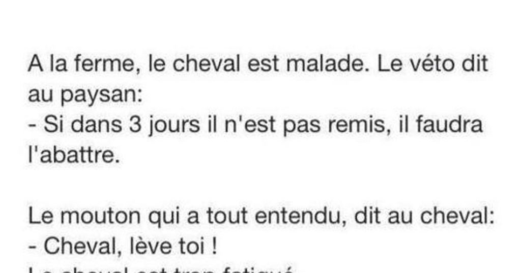 A la ferme, le cheval est malade…