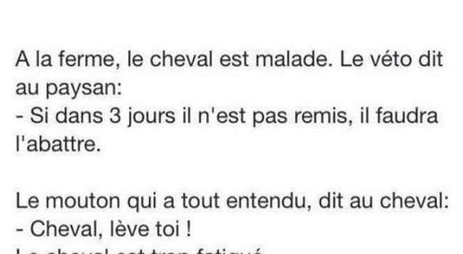 A la ferme, le cheval est malade…