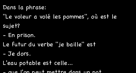Les perles géniales de l’école primaire