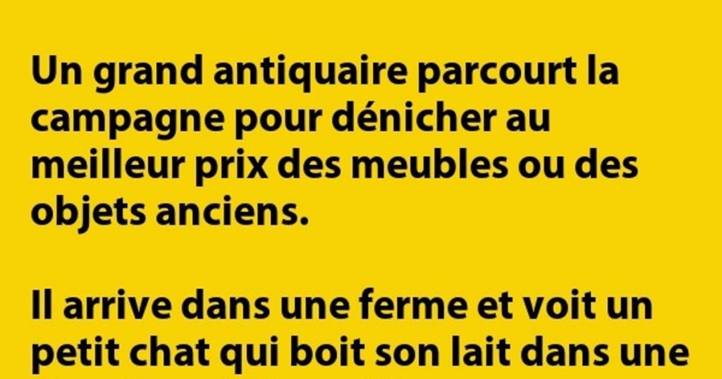 C’est un antiquaire qui parcourt la campagne pour trouver…