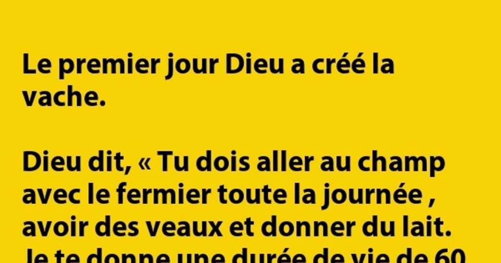 Le 1er jour, Dieu décidé de créer la vache
