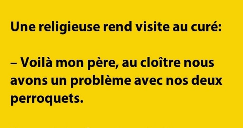 Une religieuse rend visite au curé dans un cloître…