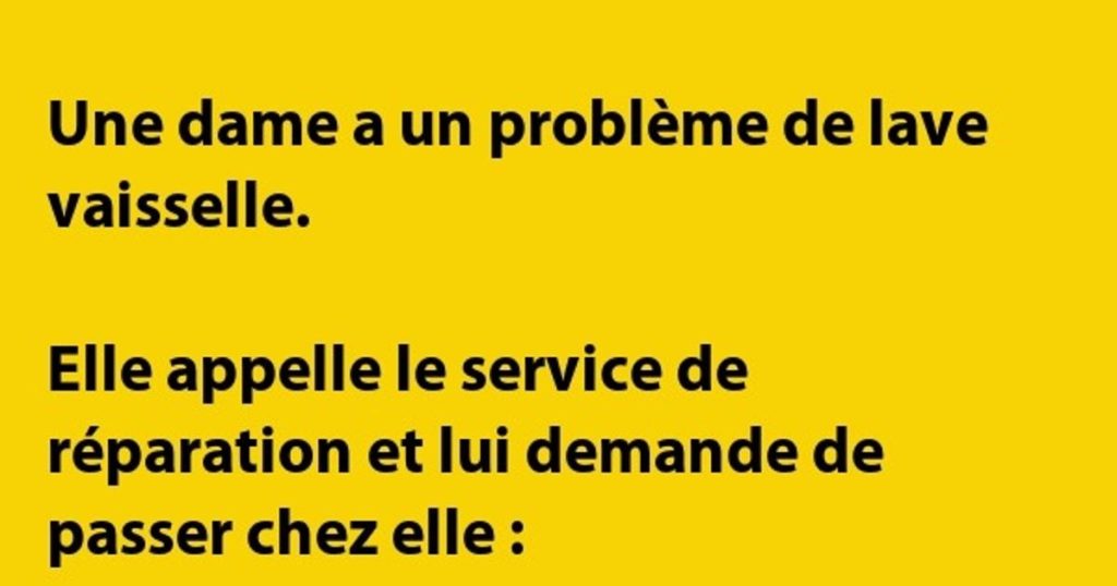 Une dame a un problème de lave vaisselle…