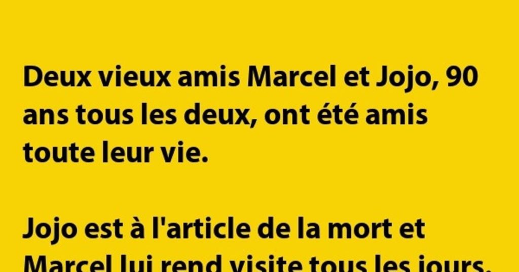 Deux vieux amis Marcel et Jojo,…