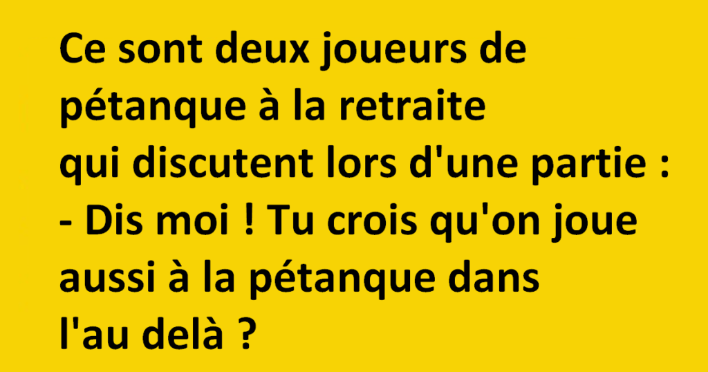 Deux retraités jouent à la pétanque