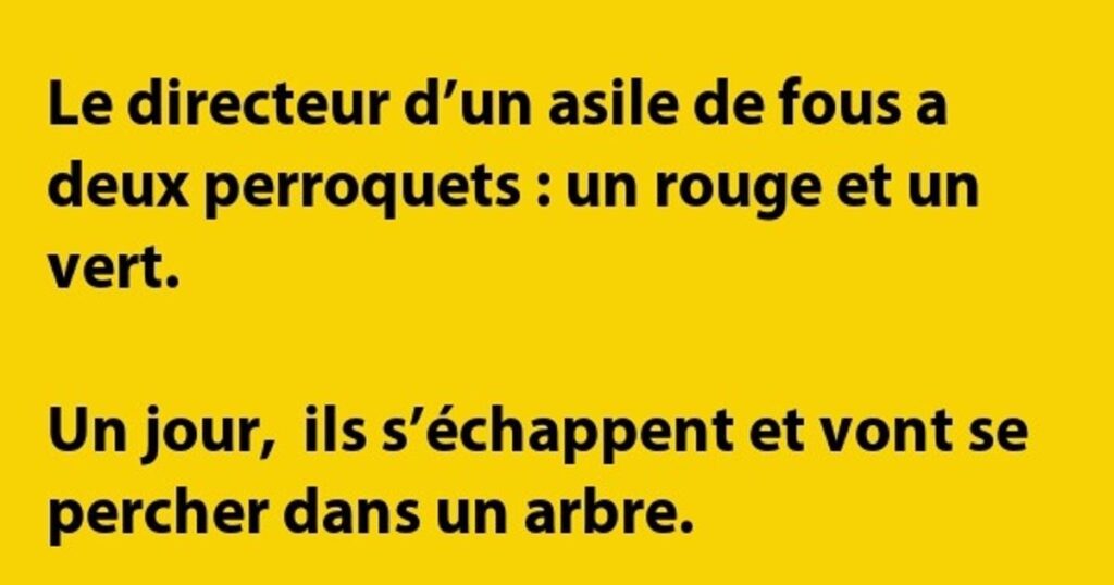 Le directeur a deux…
