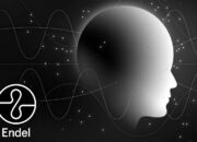 Endel Capture écran